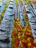 It's Autumn, Birches   60x48